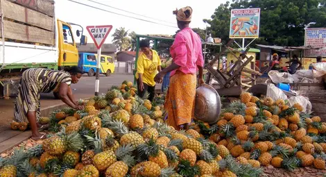 Мистериозната г-жа Уигинс и ананасово-банановото птиче