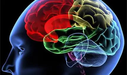 10-те номера, които мозъкът ни прави