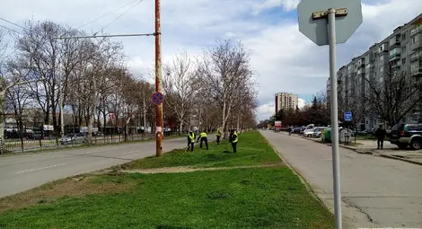 Продължава косенето на зелените площи и пръскането срещу кърлежи в Русе - вижте графика /галерия/