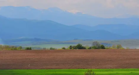 18 тетовчани с присъди за лъжесвидетелство 18 тетовчани с присъди за лъжесвидетелство