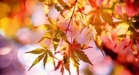 Неделята - облачна, на места ще превали