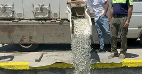 Пуснаха 2 милиона малки шаранчета в езерото „Липник“