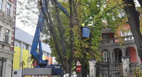 Резачки покосиха клоните на 60-годишни кестени