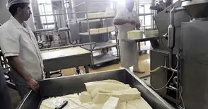 Дават на животновъдите до 60 хиляди лева за изграждане на малки мандри