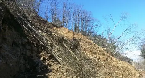 АПИ: Полагат се усилия до петък вечер да бъде възстановено движението по път II-86 Асеновград &ndash; Смолян