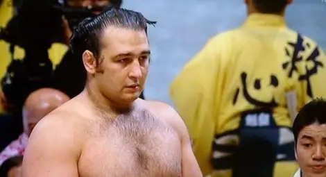 Котоошю повали Великия шампион Хакухо