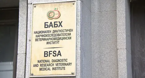 Инспекторите на БАБХ спрели над 100 кг негодни храни за седмица Инспекторите на БАБХ спрели над 100 кг негодни храни за седмица