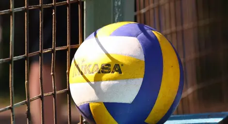 Електрото и Дойче шуле най-добри над мрежата