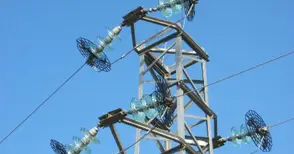 „ЕРП Север“ монтира 635 птицезащитни  средства по електрическите стълбове