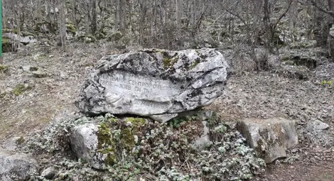 Лобното място на Христо Ботев не е връх Околчица, където се намира величественият паметник, а на около 1300 метра по права линия - в гората над седловината Йолковица, в подножието на връх Камарата.                       Снимка: Уикипедия