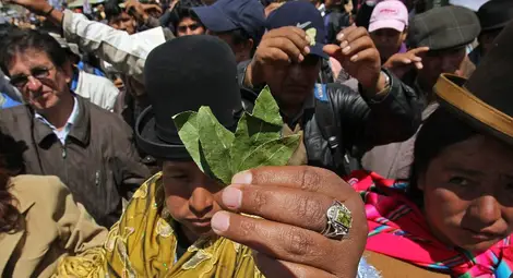 Папата ще дъвчи листа от кока в Боливия