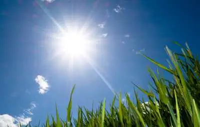 Жълт код за високи температури в цялата страна Жълт код за високи температури в цялата страна