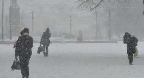 Срещу студа на село: Повечко дръвца и винце!