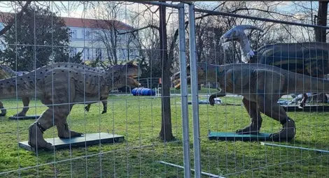 Джурасик парк се настанява до Английската гимназия Джурасик парк се настанява до Английската гимназия