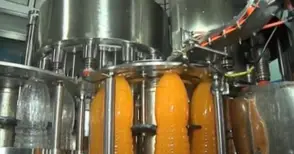 Вдигат цех за консервиране на плодове и зеленчуци в Писанец