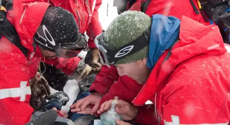 Discovery Channel отбелязва Националния празник на България със специална програма