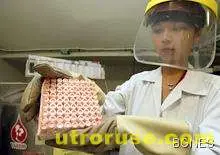 Разработват лекарство срещу ракови стволови клетки 