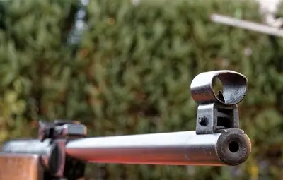 Бездомно куче убито с изстрел от упор в Острица Бездомно куче убито с изстрел от упор в Острица