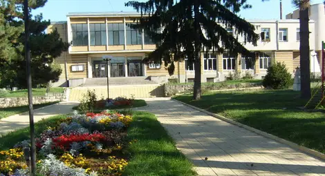 Възстановка на пазарен ден от 20 век  за 35-годишнината на Борово като град