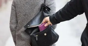 12-годишна дръзка джебчийка измъкнала портфейл от чантата на продавачка