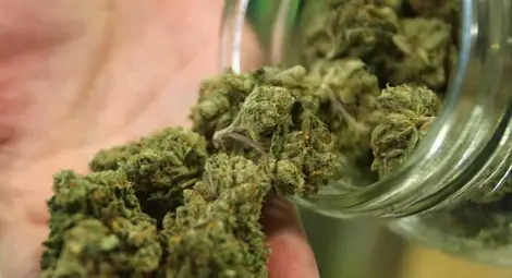 И щатът Ню Йорк легализира марихуаната 