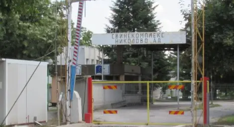 &bdquo;Вианд&ldquo; вече притежава 97,60%  от &bdquo;Свинекомплекс Николово&ldquo;