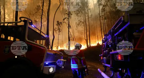 Снимка: БТА