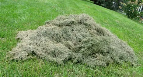 &bdquo;Паркстрой&ldquo; отнесе 3000 лева глоба  заради неизвозена окосена трева 