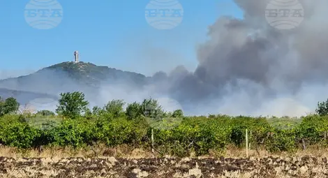 Снимка: БТА