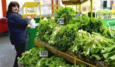 Експерт: Най-много нитрати има в марулята, спанака и лука Експерт: Най-много нитрати има в марулята, спанака и лука