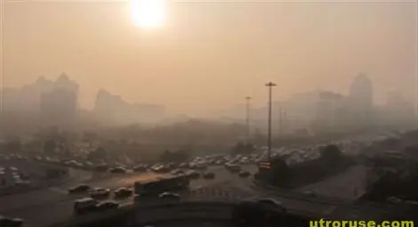 Смогът убива сърцето