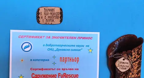 "Дунавско сияние" обяви специалните си награди с библейски послания за доброта и човеколюбие