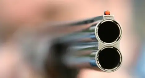 Ловци на кучета бродят по улиците на Сапарева баня и стрелят на месо