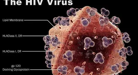 Нова надежда срещу съвременната чума - накараха вируса ХИВ да се бори със себе си