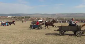 И магарета се включиха в кушиите за Тодоровден на Бог баир