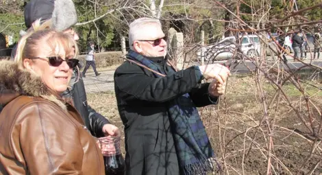 Италия и Германия искат да гледат създадено в Русе десертно грозде