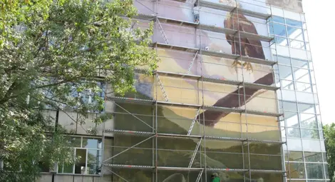 Птици от конци майсторят еколози и любители на пернатите