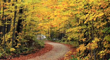 НИМХ: Максималните температури утре ще бъдат предимно между 18&deg; и 23&deg;