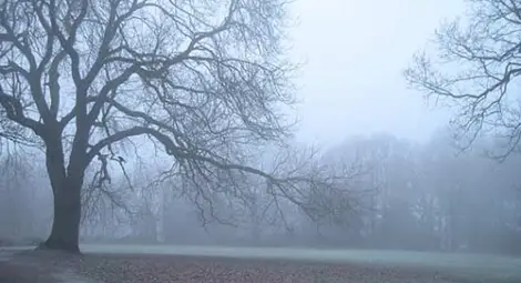 Западен вятър издухва от утре кошмарната мъгла