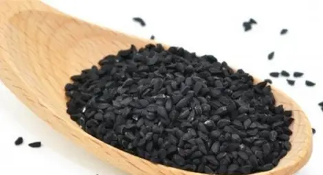 Билка, записана в Библията и Корана: Лекува всички болести, освен смъртта!