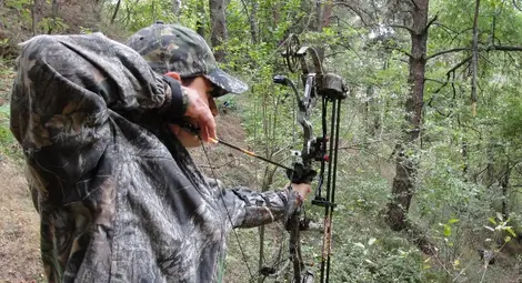 Разрешават ловуването с лък