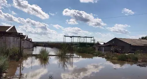 Над 5000 дка земеделска земя наводнени в Караманово Над 5000 дка земеделска земя наводнени в Караманово