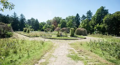 В розариума ще бъдат направени нови алеи и ще се засадят нови и различни видове растения.