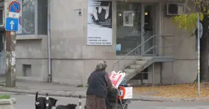 Седем клошари предупредени с протоколи да не бъркат в кофитe