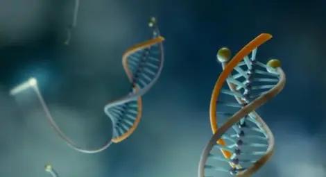 Тест предсказва 4 вида рак Тест предсказва 4 вида рак