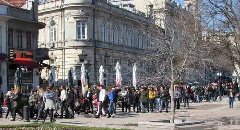 Снимка: Русе Медиа