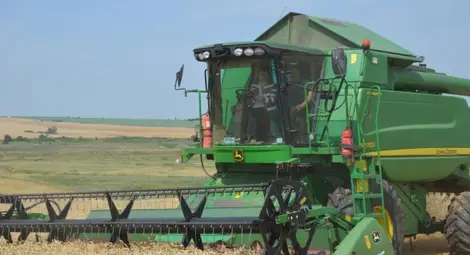 650 килограма ечемик от  декар вадят в Сливо поле