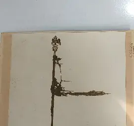 Още една ценност се върна в Историческия музей в Бяла