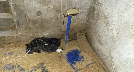 Разбиха огромен канал България-Румъния за нелегален тютюн за пушене, обработван в пълна мизерия /галерия/