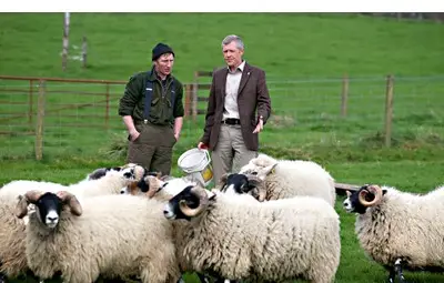 Шотландски политик се "бори" с овен предизборно